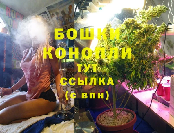 PSILOCYBIN Алексин
