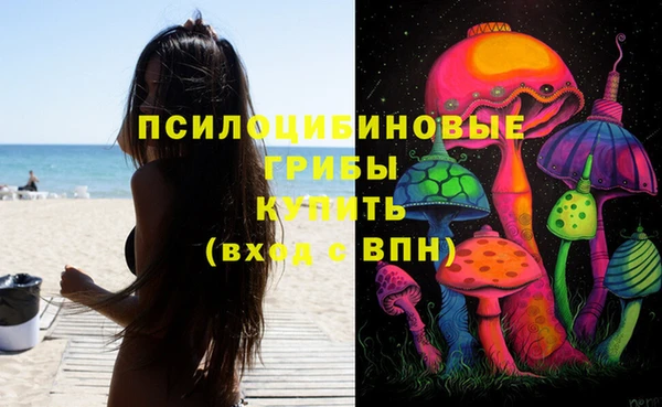 спайс Алексеевка