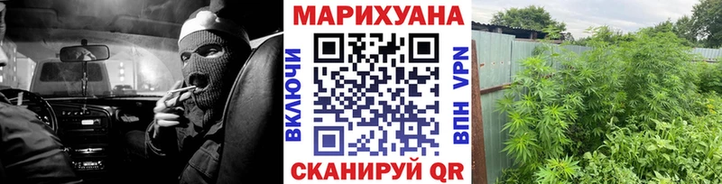 Конопля Ganja  Тогучин 